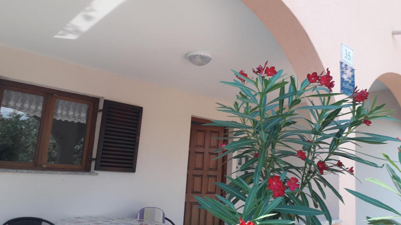 Apartmani Mia Ližnjan 外观 照片
